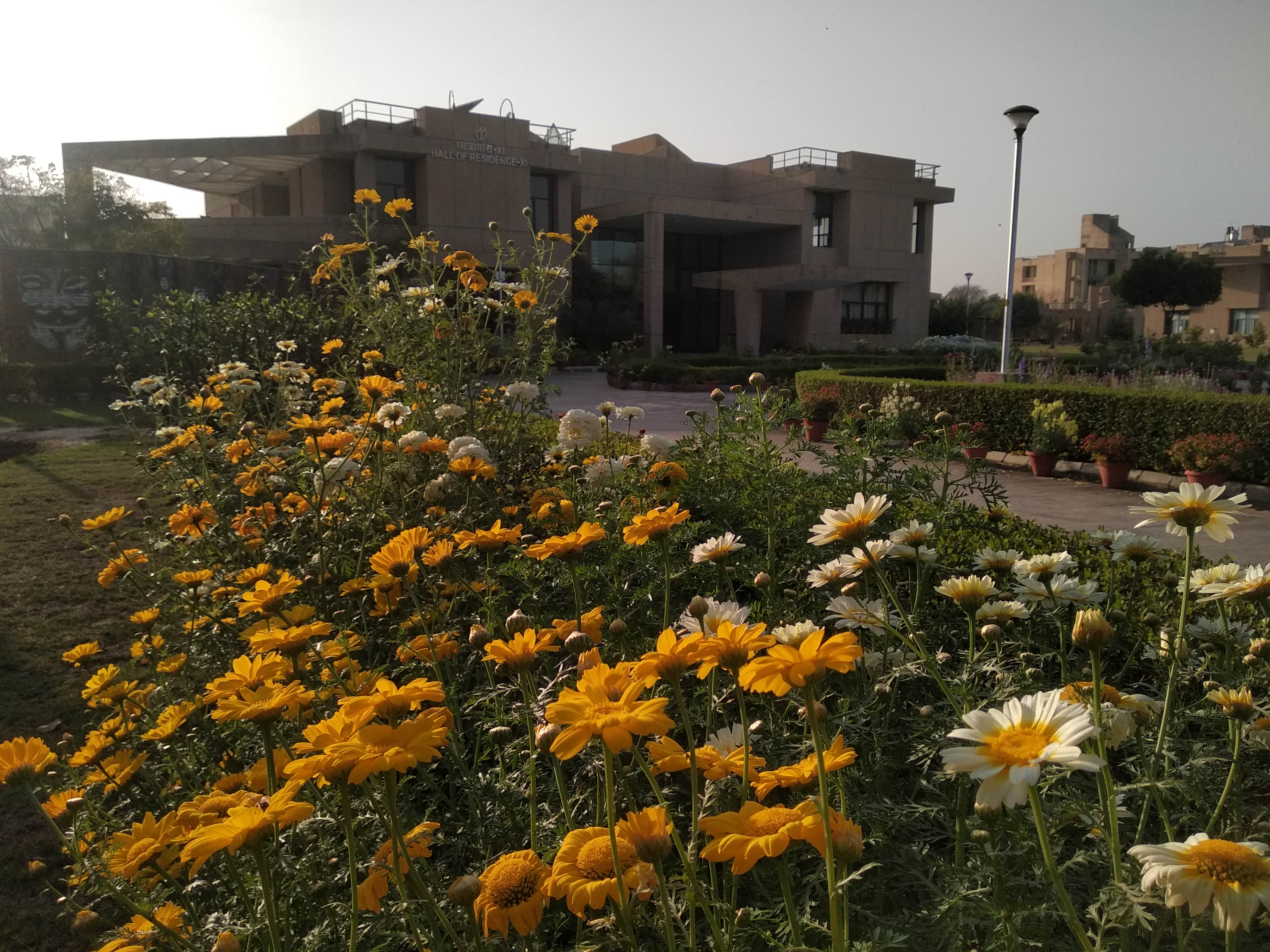 Hall 11 garden in winter