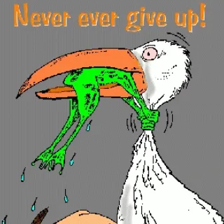 Frog cartoon from Eli Tziperman's website