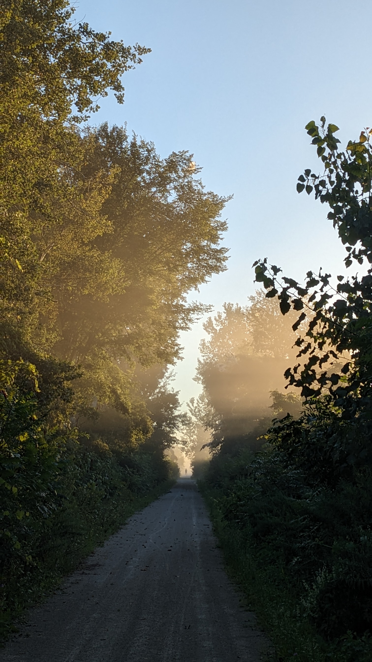 Perspective — road stretching into the distance